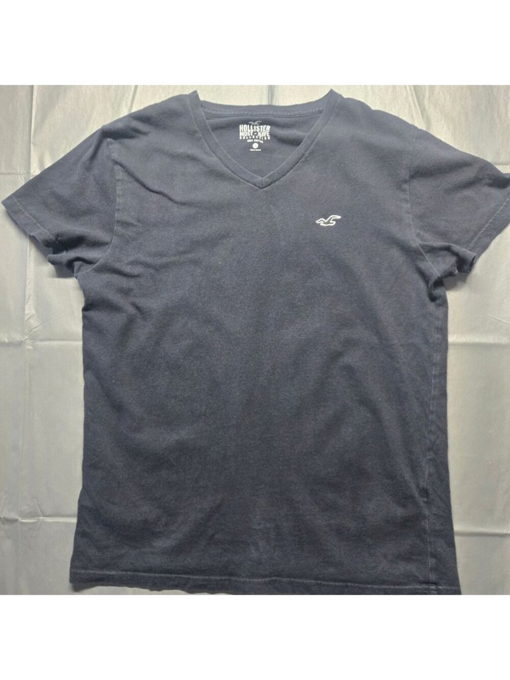 Hollister "Must-Have Collection" V-neck T-shirt Mens Sz S